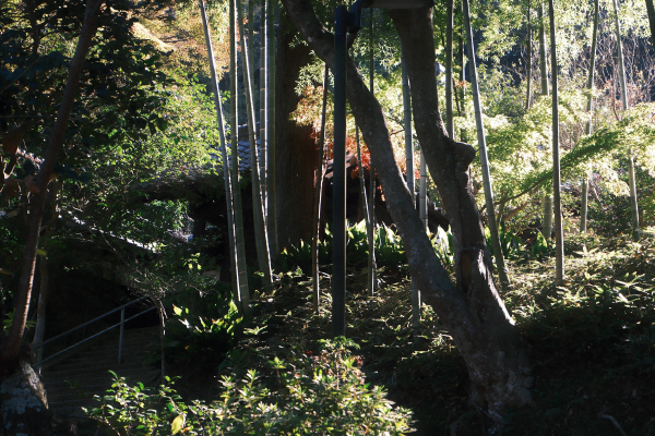 Tokyo Post 11: Post-Tour Reflections