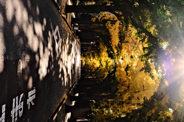 Tokyo Part 4: Wrapped in Words, Draped in Kimono