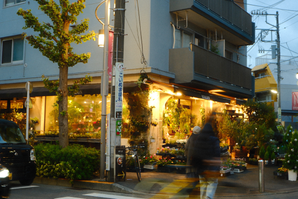 Tokyo Part 5: Classrooms & Careers